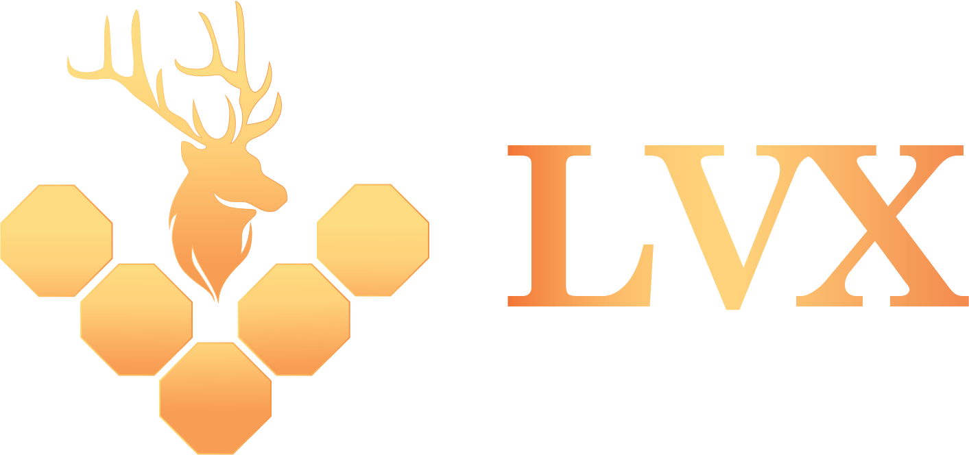 LVX Energy and HOMI Energy & Engineering